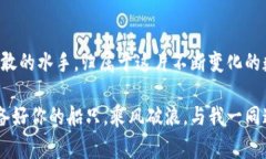   以太坊空投：从新手到领航者，如何在这片数字