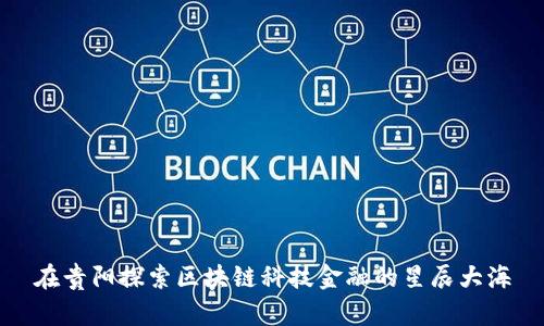 在贵阳探索区块链科技金融的星辰大海