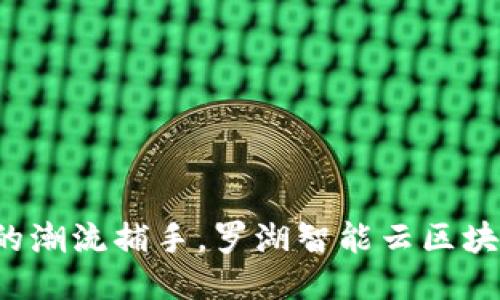 像捕捉流行风潮的潮流捕手，罗湖智能云区块链平台招聘新星！