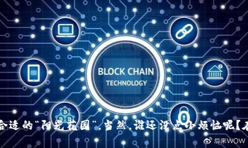 在选择适合自己的区块链平台时，我们需要考虑多个因素，包括平台的功能、安全性、用户友好性及其生态系统的发展情况。以下是一些常见的区块链平台及其优缺点，供您参考。

1. 以太坊 (Ethereum)
以太坊是目前最流行的区块链平台之一，开发者可以在其上构建去中心化应用程序（DApps）。以太坊的智能合约功能使得自动化交易和协议成为可能，但并非没有挑战。高Gas费用和网络拥堵是一些新用户面临的问题。

2. 超级账本 (Hyperledger)
超级账本是一个开源项目，主要用于企业区块链解决方案。它的模块化架构让企业能够根据需求定制解决方案，十分适合大型组织和企业合作。不过，这也意味着学习曲线有点陡峭，不适合新手。

3. 波卡 (Polkadot)
波卡作为多链架构的先锋，允许各种区块链互联互通。其设计理念可以比喻成“区块链的阳光花园”，每个链都是一朵独特的花，在阳光下繁茂生长。但要想理解波卡的操作机制，需要一定的技术基础。

4. Binance Smart Chain (BSC)
作为币安推出的平台，BSC以其便捷的交易和更低的Gas费用而受到用户的喜爱。虽然其去中心化程度略逊于以太坊，但对于小型项目及个人开发者来说，BSC无疑是一个不错的选择。

5. Solana
Solana因其高性能和低延迟而迅速崛起，正如高速列车般的存在，让用户在进行交易时几乎没有等待。但伴随而来的则是对其网络安全性的担忧，作为用户，不妨多加关注其发展动态。

选择适合的区块链平台时的技巧
在决定使用哪种区块链平台时，可以考虑以下几个方面：
ul
    li用途：确定你需要建立的应用程序类型，例如交易、存储、智能合约等。/li
    li安全性：了解不同平台的安全机制及其历史安全问题。/li
    li社区支持：一个活跃的社区能为你提供帮助和支持。/li
    li学习曲线：评估掌握该平台所需的时间和努力。/li
/ul

总结
选择区块链平台虽不易，但只要明确自己的需求、深入了解各个平台的特点，就能找到合适的“阳光花园”。当然，谁还没点小烦恼呢？在不断变化的技术面前，别忘了保持好奇心，探索属于自己的无限可能。