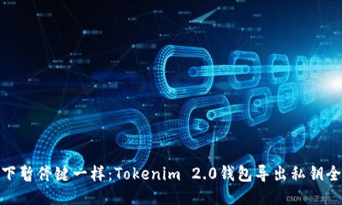 像按下暂停键一样：Tokenim 2.0钱包导出私钥全攻略