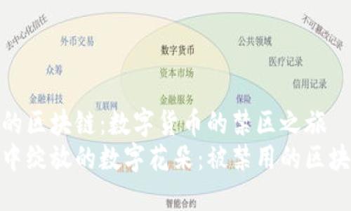 被禁用的区块链：数字货币的禁区之旅
在黑暗中绽放的数字花朵：被禁用的区块链之旅