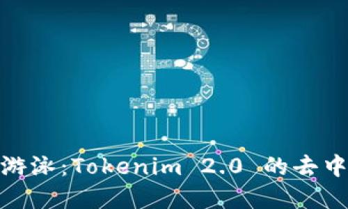 在加密世界中游泳：Tokenim 2.0 的去中心化金融之旅