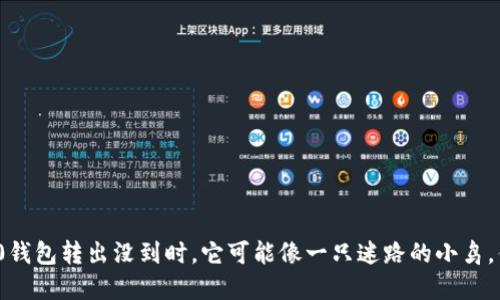当你的Tokenim 2.0钱包转出没到时，它可能像一只迷路的小鸟，停留在了未知的地方