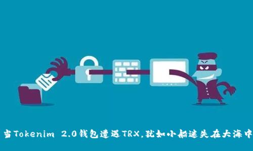 当Tokenim 2.0钱包遭遇TRX，犹如小船迷失在大海中