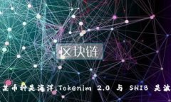 想象一下：如果某币种是海洋，Tokenim 2.0 与 SHI