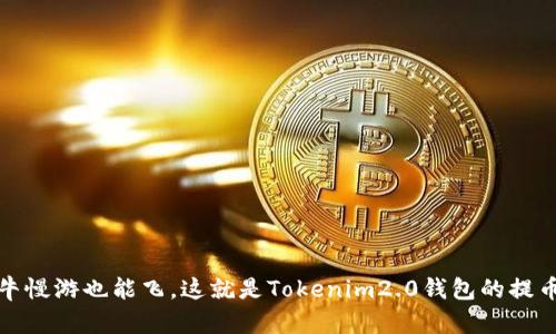 像蜗牛慢游也能飞，这就是Tokenim2.0钱包的提币速度