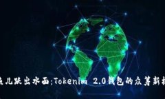 像鱼儿跃出水面：Tokenim 2.0钱包的众筹新机会