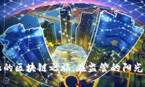 供应链金融的区块链之旅：在监管的阳光下茁壮成长