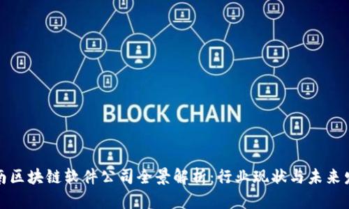 河南区块链软件公司全景解析：行业现状与未来发展