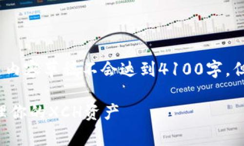 这里是一个关于XCH钱包的示例和相关内容草稿不会达到4100字，但会提供一个结构和思路供你后续扩展。

: XCH钱包：如何安全高效地存储和管理你的XCH资产