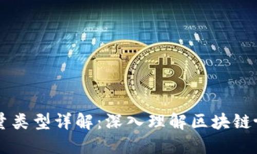 区块链语言变量类型详解：深入理解区块链协议的核心要素