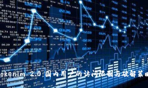 Tokenim 2.0：国内用户的访问限制与破解策略