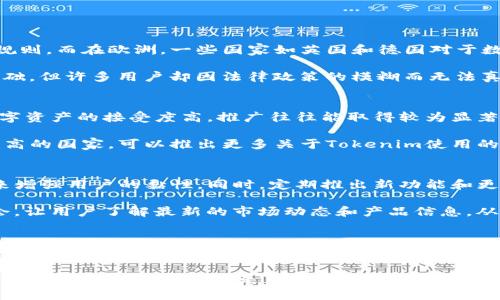 在讨论“tokenim哪个地区用户比较多”时，我们可以从多个角度分析不同地区的用户情况，包括市场接受度、当地法规、技术基础设施和用户教育等因素。以下是关于这个问题的详细探讨。

1. 全球用户分布现状
Tokenim作为一种数字资产或区块链技术的应用，其用户基础在全球范围内呈现多样化。根据不同地区的市场成熟度和技术采纳情况，可以看到一些地区用户相对较多。例如，北美和欧洲的一些国家通常在数字货币和区块链技术方面走在前列，用户基础相对庞大。这主要得益于成熟的金融市场和较高的技术接受度。

在北美，例如美国，有着大量的区块链初创公司和投资者，用户对数字资产的接受度很高。另外，欧洲的一些国家，如瑞士和德国，在监管政策上较为友好，也孕育了不少区块链和数字货币的用户。

2. 亚洲市场的崛起
近年来，亚洲市场尤其是中国、日本和韩国的用户数量激增。尽管中国对数字货币的政策相对严格，但依然有着庞大的区块链用户群体。日本和韩国的监管环境相对开放，加上用户对创新技术的高度接受，使得这些地区成为Tokenim等数字资产应用的重要市场。

例如，日本早在2017年就合法化了数字货币，市场非常成熟，用户活跃度高。而韩国则因其强大的互联网基础设施和对新兴技术的热情，形成了一个庞大的数字资产交易群体。

3. 区域因素对用户数量的影响
不同的地区在文化、经济、技术水平等方面存在差异，这直接影响了用户对Tokenim这类数字资产的接受度。经济发达的地区通常有更好的网络基础设施和透明的金融体系，用户更容易接触到数字资产。而经济较落后的地区则可能因信息不畅和技术瓶颈而限制了用户的增长。

此外，地区间的法规差异也会影响用户数量。例如，某些国家可能因不明确的法律条款使投资者感到不安，从而抑制了用户的增长。因此，在分析Tokenim用户分布时，不仅需要考虑经济因素，还要考虑法律环境和社会接受度。

4. 如何促进Tokenim在不同地区的用户增长
想要促进Tokenim在全球范围内的用户增长，可以通过多种策略实现。例如，教育是关键。通过提供充足的教育资源，帮助区块链技术和数字资产的优势，可以吸引更多用户参与进来。

此外，在制定市场推广策略时，可以考虑与当地的科技公司或金融机构合作，通过他们的渠道来提升Tokenim的知名度。例如，举办在地的会议和研讨会，让用户深度了解Tokenim的功能和使用方法，从而提升用户的兴趣和参与度。

总结
综上所述，Tokenim的用户分布与地区经济发展、技术接受度和法规政策紧密相关。北美、欧洲以及部分亚洲国家的用户基数较大，而其他地区则可能因为各种因素，用户数量相对较少。为了促进Tokenim的用户增长，需要采取教育、合作等多管齐下的策略，让更多用户意识到区块链技术的价值。

可能相关的问题与详细介绍

1. Tokenim在不同国家的法律法规是怎样的？
不同国家对于Tokenim及其相关技术的法规存在明显差异。以美国为例，数字货币的交易受到严格的监管，并要求企业遵循制定的合规规则。而在欧洲，一些国家如英国和德国对于数字资产的监管较宽松，允许其合法交易，从而激发了用户的参与热情。

在亚洲地区，日本的法规相对成熟，早已对数字货币进行合法化，鼓励用户参与市场交易。而在中国，由于政策限制，虽然有庞大的用户基础，但许多用户却因法律政策的模糊而无法真正参与其中。了解各个国家的法律环境，对于Tokenim的用户开发和推广至关重要。

2. 在哪些地区Tokenim的推广最有效？
推广策略的有效性往往与地方文化、经济发展水平以及用户对新技术的接受程度紧密相关。在北美和西欧地区，用户对于技术创新和数字资产的接受度高，推广往往能取得较为显著的效果。而在部分发展中国家，由于对数字资产的了解不足，推广效果则可能相对较弱。

通过针对特定地区的市场调研，制定符合当地用户需求的推广策略，可以有效提高Tokenim在不同地区的市场份额。比如，在技术接受度高的国家，可以推出更多关于Tokenim使用的教育活动，从而激发用户的兴趣和参与度。

3. 如何提高Tokenim用户的活跃度？
提高用户活跃度的关键在于为用户提供持久的价值和优质的使用体验。可以考虑通过建立用户社区、提供技术支持及参与权益等方式来增强用户的黏性。同时，定期推出新功能和更新，保持用户的兴趣也是非常重要的。

例如，可以在Tokenim平台上增加互动机制，让用户参与到产品的迭代中，提升使用的代入感和参与感。此外，创建教育活动和线上研讨会，让用户了解最新的市场动态和产品信息，从而提高他们的活跃度。

4. Tokenim未来的发展前景如何？
随着区块链技术的不断成熟，Tokenim作为其中的一部分，其未来的发展前景可期。越来越多的企业和个人开始关注数字资产，并愿意在其中投资，这为Tokenim的增长提供了广阔的市场空间。

通过不断改善技术架构、增加用户教育及推广，Tokenim将能在全球范围内吸引到更多用户。面对迅速变化的市场环境，灵活的应变能力和创新的推广策略将是Tokenim持续发展的关键所在。