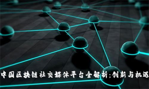 中国区块链社交媒体平台全解析：创新与机遇