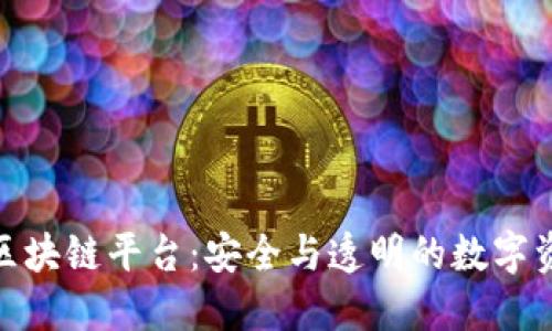 定南正规区块链平台：安全与透明的数字资产新选择